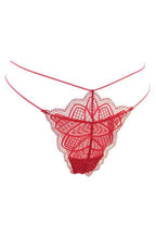 Stringi HOLLYWOOD