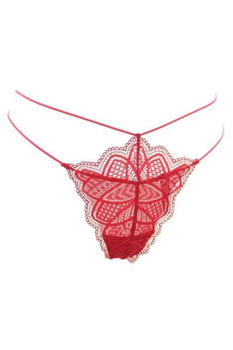 Stringi HOLLYWOOD