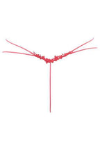Stringi HOLLYWOOD