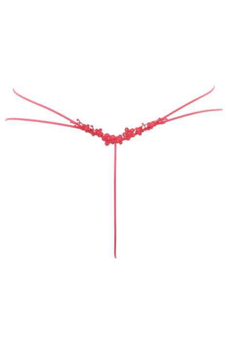 Stringi HOLLYWOOD