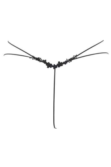Stringi HOLLYWOOD