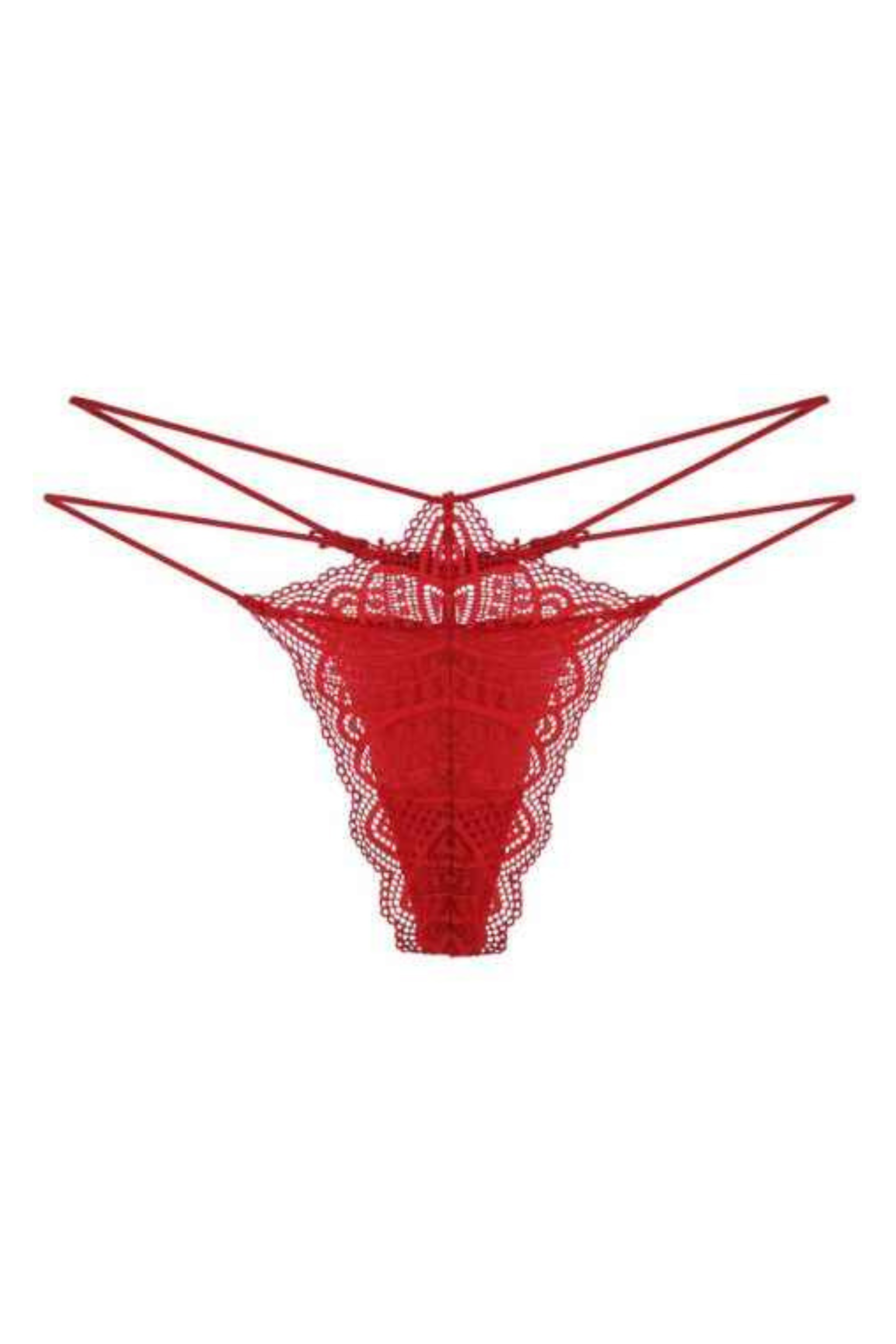 Stringi koronkowe HOLLYWOOD