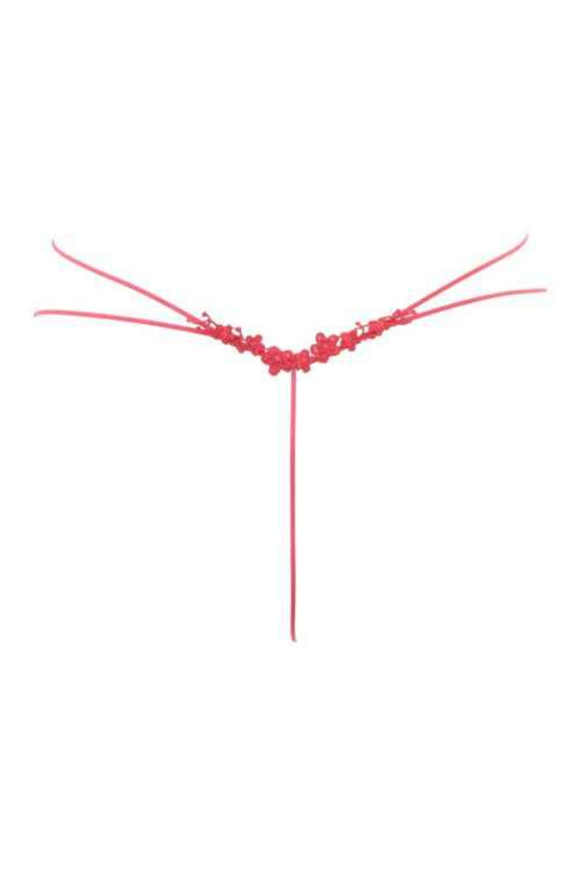 Stringi koronkowe HOLLYWOOD